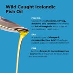 Salmon Oil for Dogs Manufacturer - Omega-3 Fish Oil Skin Immunity