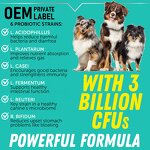 Probiotics for Pets Supplier - Digestive Enzymes Supplement for Dogs Cats