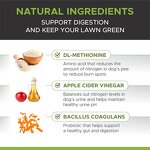 Dog Vitamin Probiotic Supplier - OEM Advanced Hip Joint Supplement