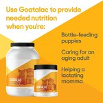 Powdered Goat Milk Factory - OEM for Dogs Cats with Colostrum