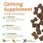 Melatonin Dog Chews Manufacturer - OEM Calming Stress Relief