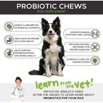 Probiotic Soft Chews Supplier - OEM Custom for Dogs Cats