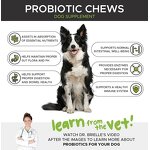 Dog Probiotics Chews Manufacturer - Private Label Digestive with Chondroitin