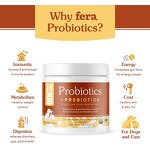 Probiotics Powder Manufacturer - Custom for Dogs Cats Natural Powder