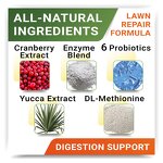 Digestive Probiotic Dog Chews Manufacturer - Immunity Health Seasonal Allergies