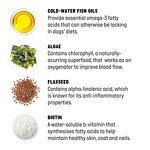 Omega 3 Dog Chews Factory - Fish Oil for Skin and Coat