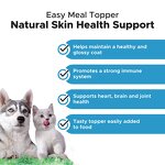 Salmon Oil for Dogs Manufacturer - Omega-3 Fish Oil Skin Immunity