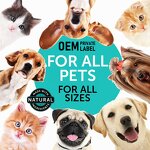 Probiotics for Pets Supplier - Digestive Enzymes Supplement for Dogs Cats