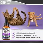 Kidney Support Drops Factory - Pet Liquid Supplement for Cushings