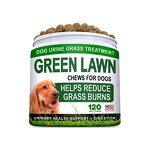 Digestive Probiotic Dog Chews Manufacturer - Immunity Health Seasonal Allergies