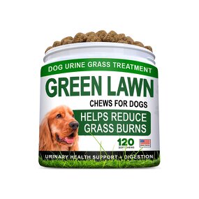 Digestive Probiotic Dog Chews Manufacturer - Immunity Health Seasonal Allergies