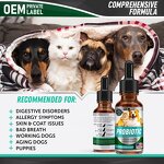 Probiotics for Pets Supplier - Digestive Enzymes Supplement for Dogs Cats