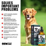 Hemp Oil for Pets Factory - Calming Drops Anxiety Pain Relief