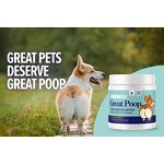 Probiotic Soft Chews Supplier - Custom Dog Vitamin Digestive Enzymes