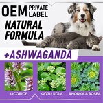 Kidney Support Drops Factory - Pet Liquid Supplement for Cushings