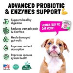 Probiotic Dog Chews Factory - OEM Soft Chews for Digestive Health