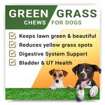 Digestive Probiotic Dog Chews Manufacturer - Immunity Health Seasonal Allergies