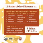 Probiotics Powder Manufacturer - Custom for Dogs Cats Natural Powder