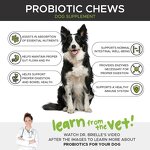 Probiotics Chews for Dogs Supplier - 30 Billion CFUs Digestive Enzymes