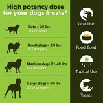 Hemp Oil for Pets Manufacturer - OEM Anxiety Pain Hip Joint Support