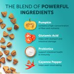 Probiotics for Dogs Manufacturer - OEM Custom Label Digestive Health