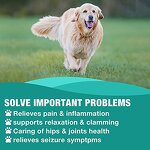 Hemp Seed Oil Drops Factory - OEM Organic Immune Support Liquid