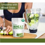 Wheat Grass Powder Manufacturer - Organic Plus Vitamin K for Balance