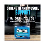 Creatine Monohydrate Gummies Manufacturer - Chewables for Muscle Strength