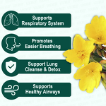 Lung Cleansing Tea Manufacturer - Infused with Mullein Thyme Custom