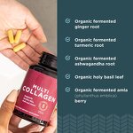 Collagen Peptides Pills Manufacturer - Hydrolyzed Multi Collagen Supplement