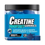 Creatine Monohydrate Gummies Manufacturer - Chewables for Muscle Strength