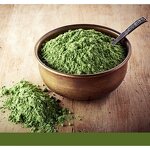 Wheat Grass Powder Manufacturer - Organic Plus Vitamin K for Balance