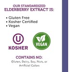 Elderberry Extract Supplier - Wholesale Customized Natural Syrup 120ml