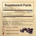 Astaxanthin Softgels Factory - Private Label Premium Eye Health 120 Counts