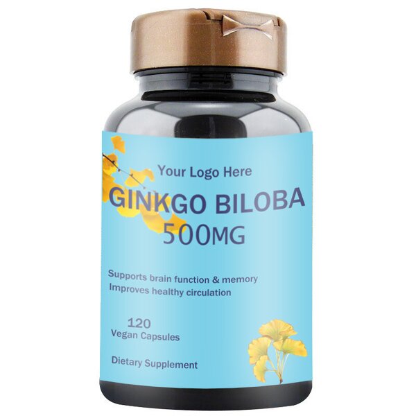 Ginkgo Biloba Capsules Supplier - Supports Brain Health 120 Capsules