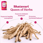 Himalayan Honey Sticks Supplier - Energy Emotional Hormonal Balance