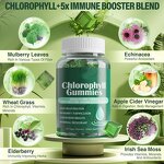 Chlorophyll Gummies Factory - Hot Sale OEM Daily Greens Chewable