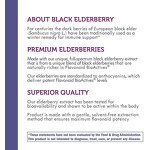Elderberry Extract Supplier - Wholesale Customized Natural Syrup 120ml