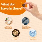 Probiotics for Dogs Supplier - OEM Hot Sales Digestive Enzymes Chews