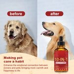 Pet Multivitamin Drops Supplier - Private OEM Complex 10-In-1 Support