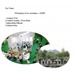 Monk Fruit Extract Supplier - Certified Organic Mogroside V25% Global