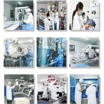 Stevia Extract Manufacturer - High Purity for Food Beverage