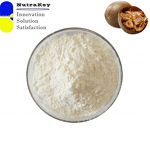 Monk Fruit Extract Powder Factory - USDA Organic Premium Natural Sweetener