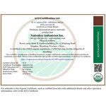 Monk Fruit Extract Powder Manufacturer - Organic Mogroside V5% Free Sample