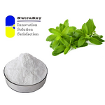 Stevia Extract Powder Factory - Reb A 97% Low Bitter Taste