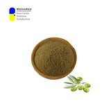 Olive Leaf Extract Powder Manufacturer - 12% Oleuropein Antioxidant Support
