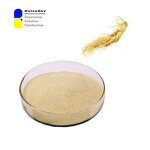 Ginseng Extract Powder Factory - 7% Ginsenosides Energy Immunity Support