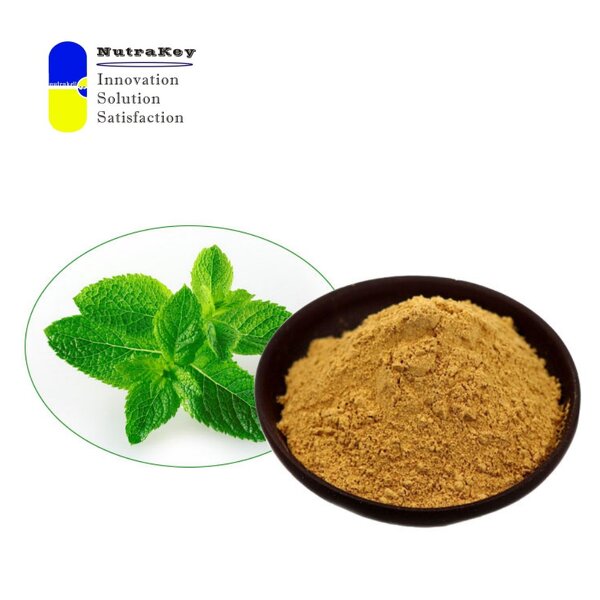 Peppermint Leaf Powder Manufacturer - Pure Natural Cooling Flavor