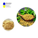 Fenugreek Seed Extract Powder Factory - 20% Saponins HPLC Tested