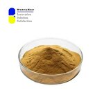 Fucoxanthin Powder Factory - 10% UV Laminaria Japonica Extract Fat Burner